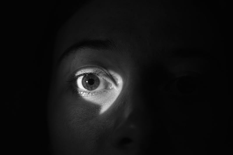 Spy